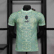 2024/2025 Maillot AC Milan Edition Spécial Vert